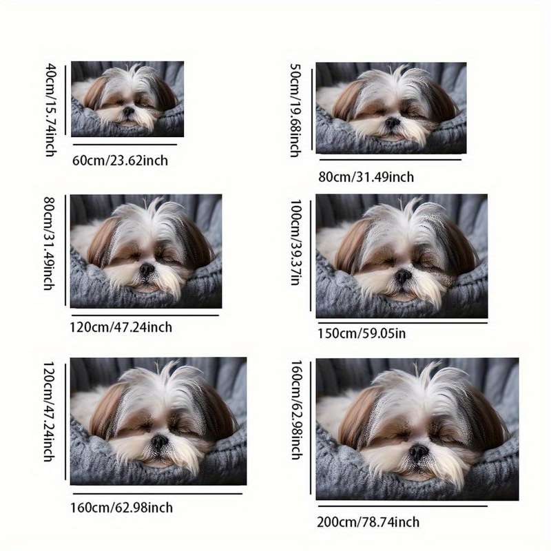 1Pc 19.69x31.49inch 50x80cm Floor Mat