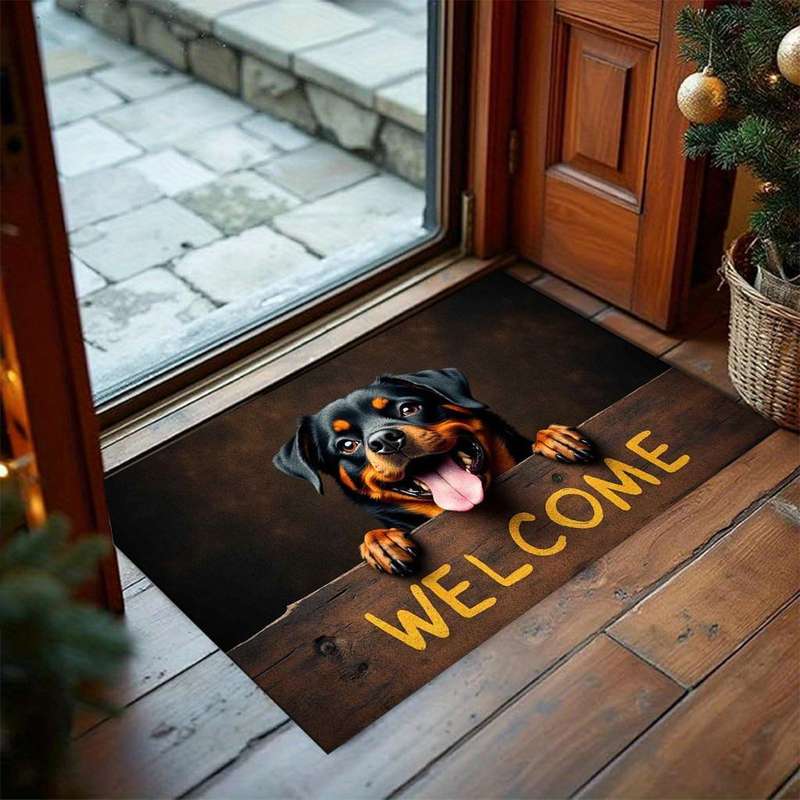 1Pc 23x35inch 60x90cm Floor Mat