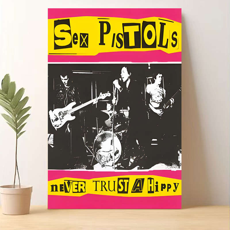 1pc Sex Pistols Never Trust a Hippy Frameless Canvas Art 39.88x59.99 cm Black White Band Post