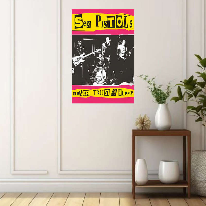 1pc Sex Pistols Never Trust a Hippy Frameless Canvas Art 39.88x59.99 cm Black White Band Post