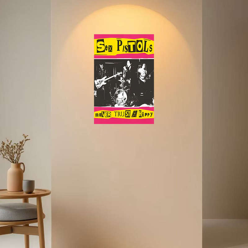 1pc Sex Pistols Never Trust a Hippy Frameless Canvas Art 39.88x59.99 cm Black White Band Post