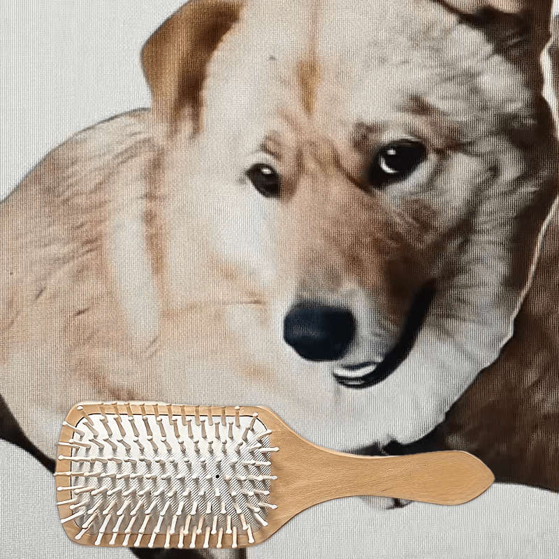 1pc Wood Pet Comb