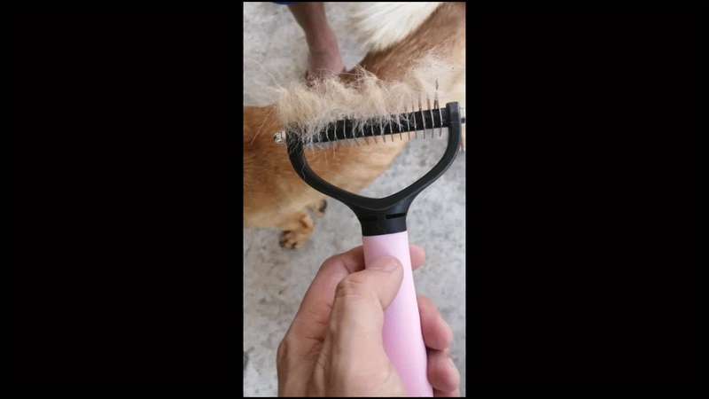 1pc Random Pink, Blue Pet Comb