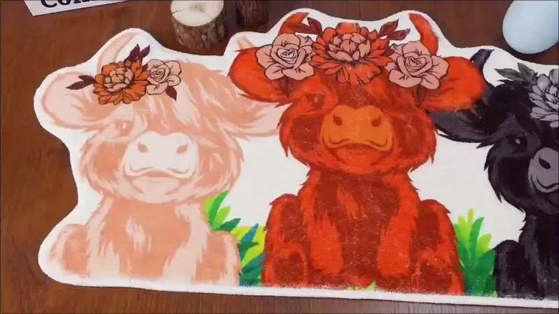 1Pc 60x80cm 23.6x31.5inch Floor Mat