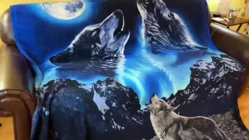 1ps Blanket Color Howling Wolf size 30inX40
