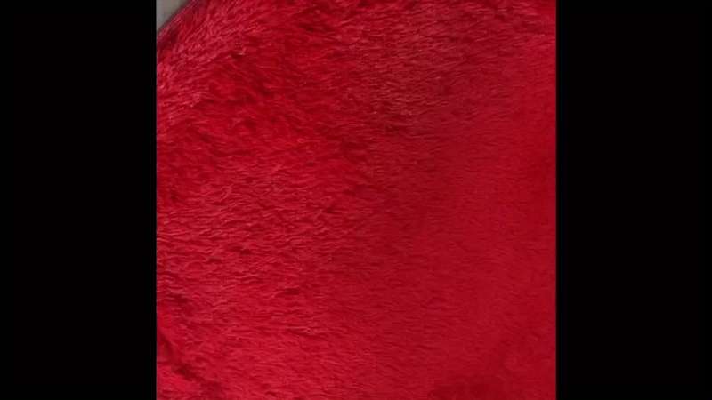 1Pc Bright Red 50x60cm Floor Mat