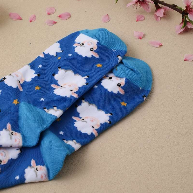 1 Pair Mixed Color One Size Socks