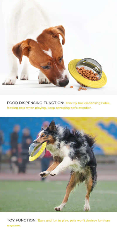Dog Educational Toys