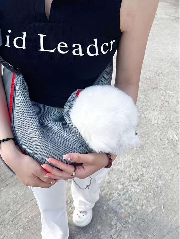 1pc Redsize S Size 31cm*22cm Pet Bag