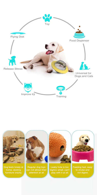 Dog Educational Toys