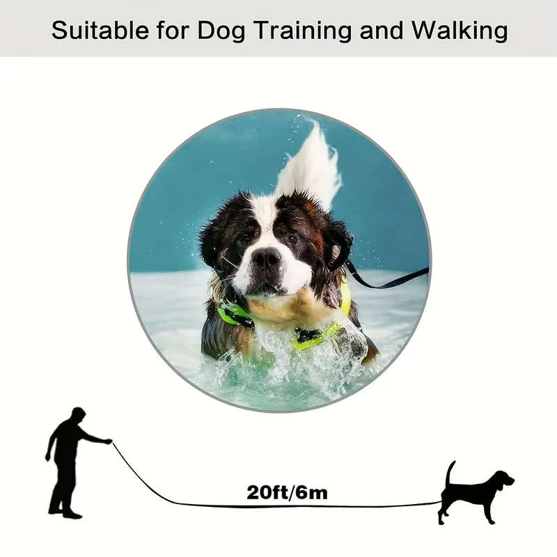 Long Dog Leash