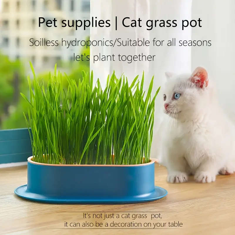 1 Hydroponic Grass Planter