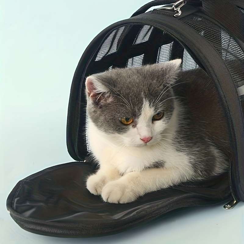 1pc Bluesize S 34.01*24.0*24.0cm Pet Bag