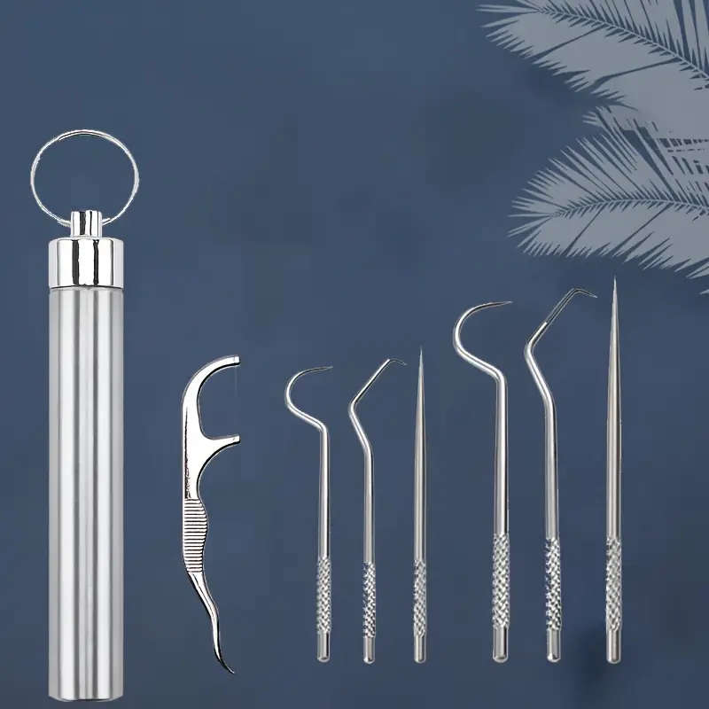 7pcs Stainless Steel Toothpick Set