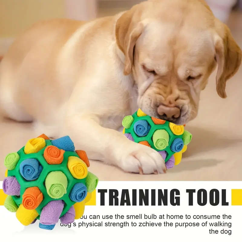 Dog Educational Toys