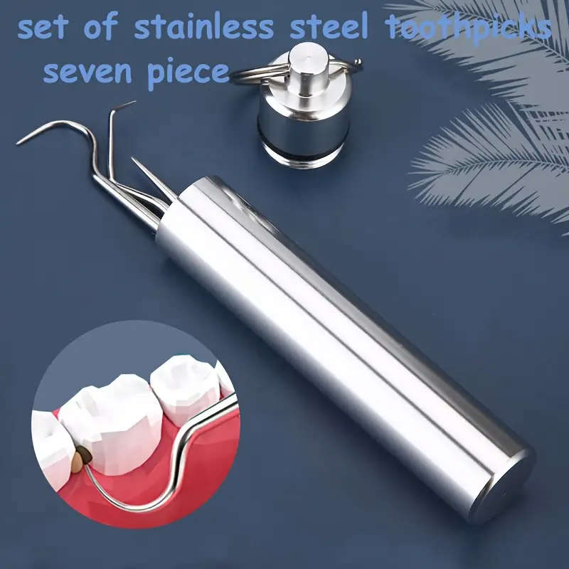7pcs Stainless Steel Toothpick Set