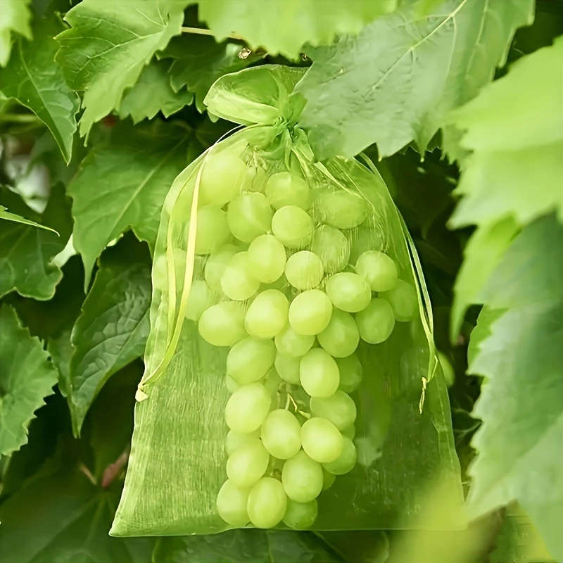 100 Breathable Fruit Protection Bags