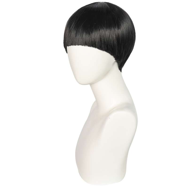 1Pc Black 25.4cm Fashion Design Wig