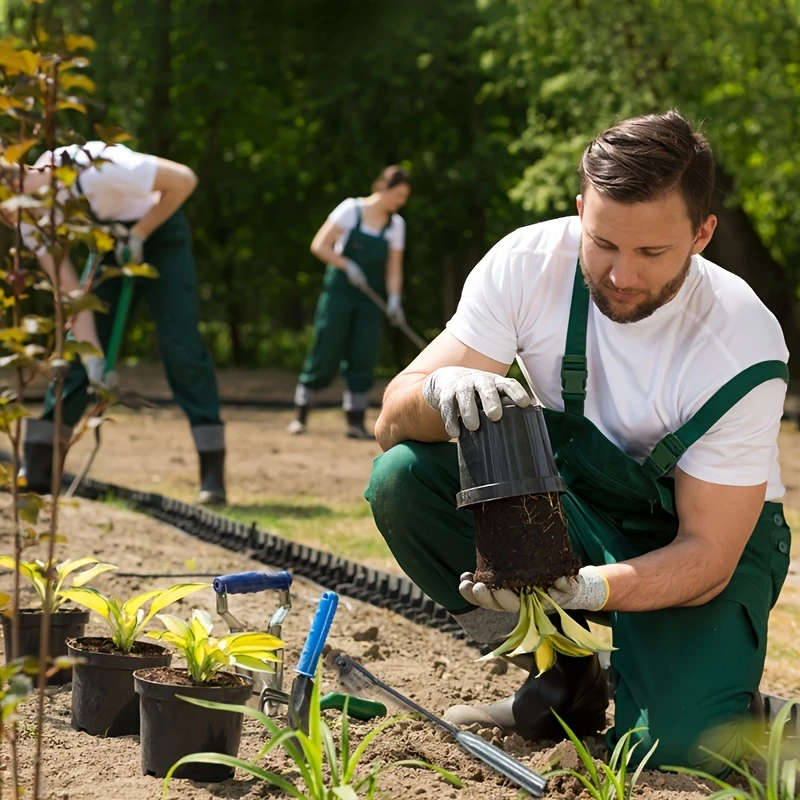 Weeding Tools