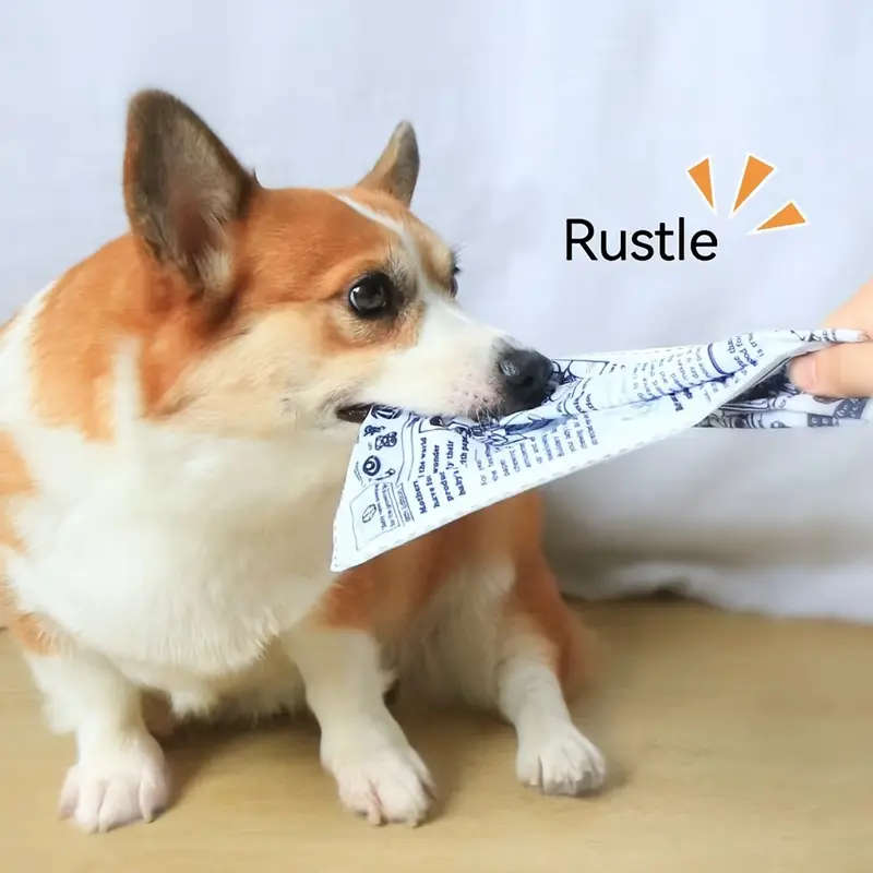 Pet Chew Toy