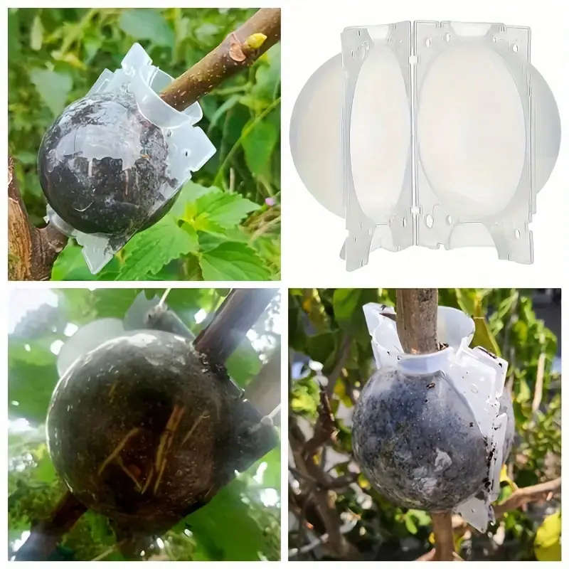5pcs Plant Root Grow Box