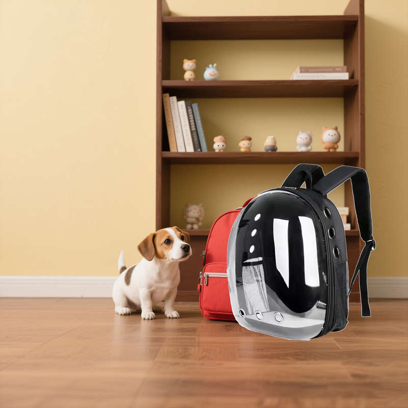 1pc Star Black Pet Bag