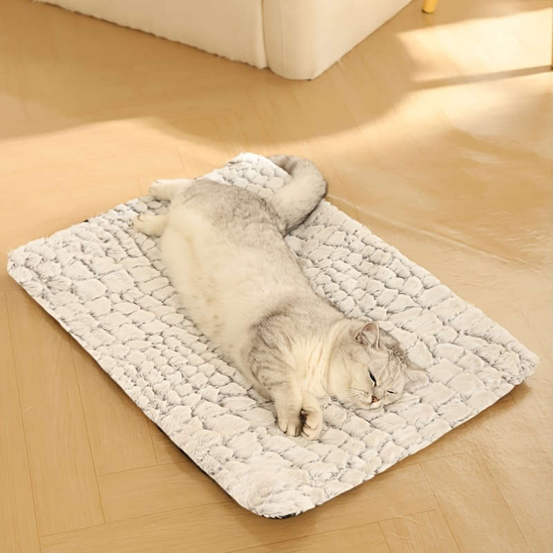 1PC Pet Mat Modern