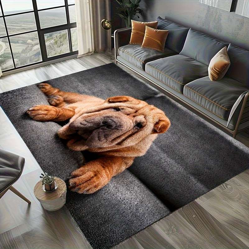 1Pc 5Ox8Ocm Floor Mat