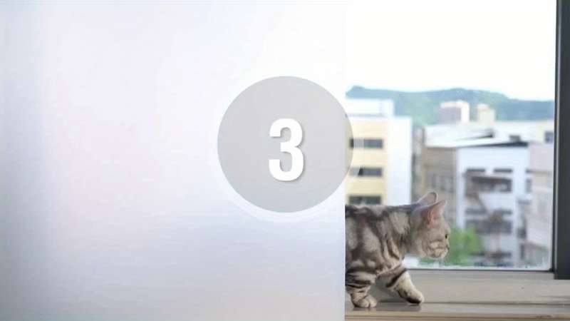1pc Pure Matte Size 60x500cm  23.62x196.85IN Door Window Sticker