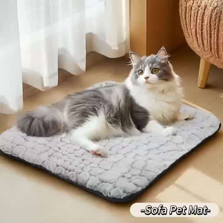 1PC Pet Mat Bubble Velvet