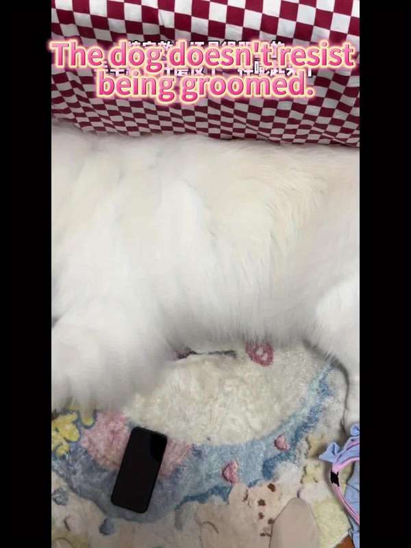 1pc Medium Pet Comb