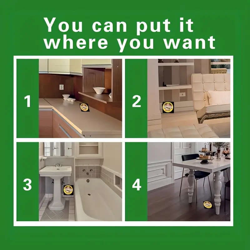 3 Ant Traps