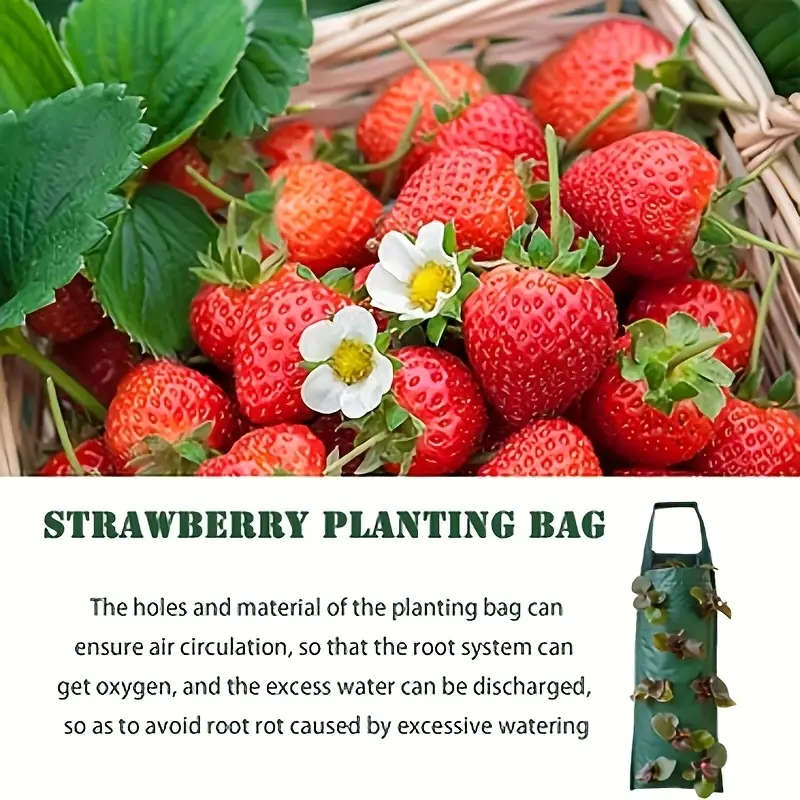 8Hole Hanging Strawberry Planting Bag