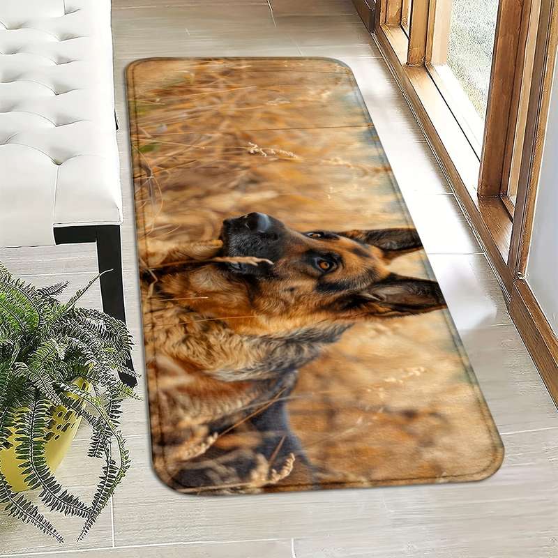 1Pc 45x75cm Floor Mat