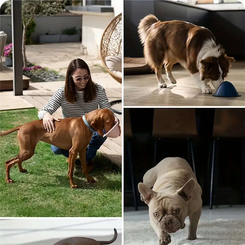 Dog Toys