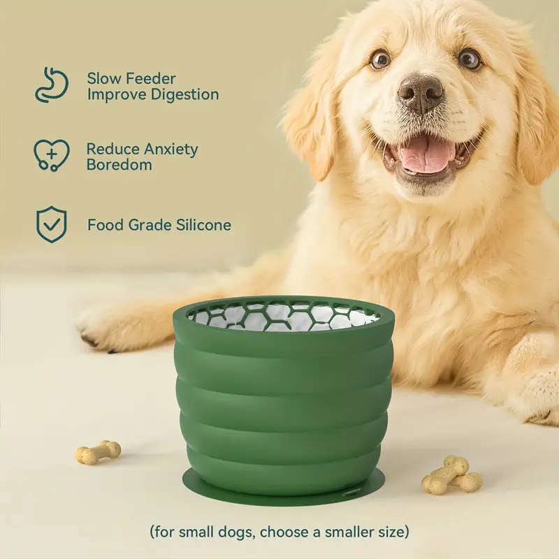 Dog Bowl