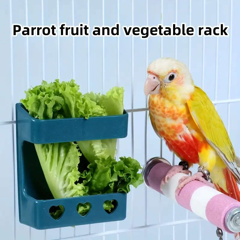 Small Bird Feeder