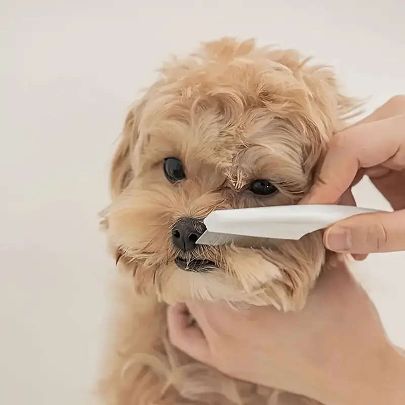 Pet Comb