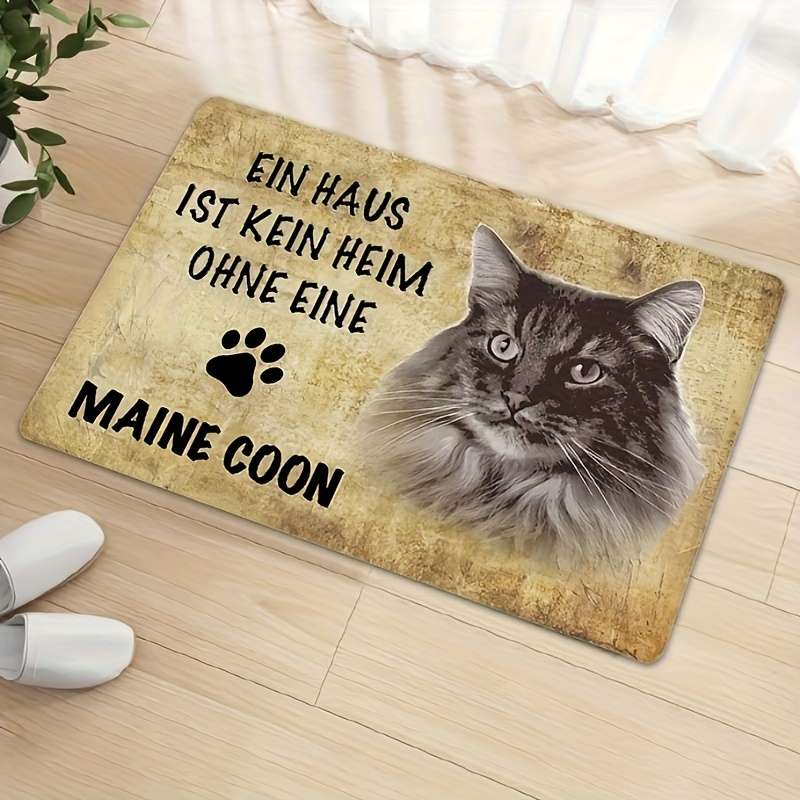 1Pc 19.8x31.7inch 50x80cm Floor Mat