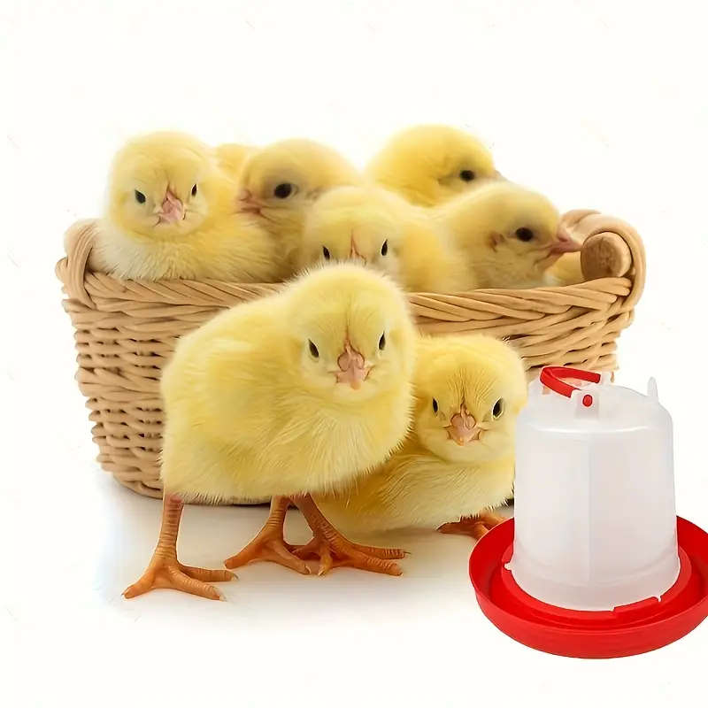 4-Piece Plastic Poultry Drinker Kit