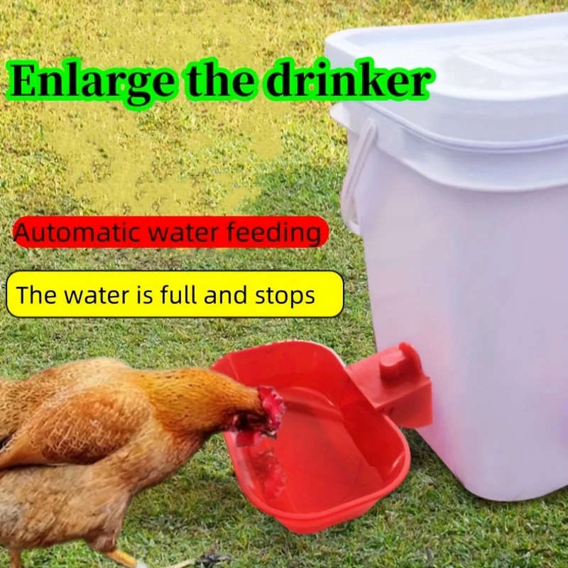 Large Automatic Drinking Water Bowl For Chickens