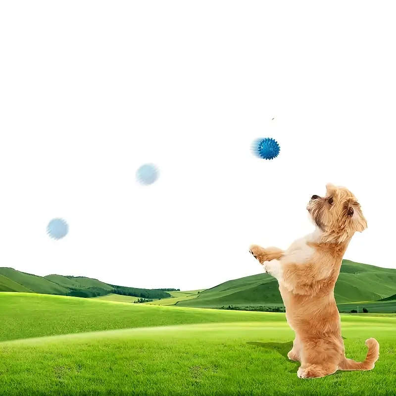 Pet Chew Toys