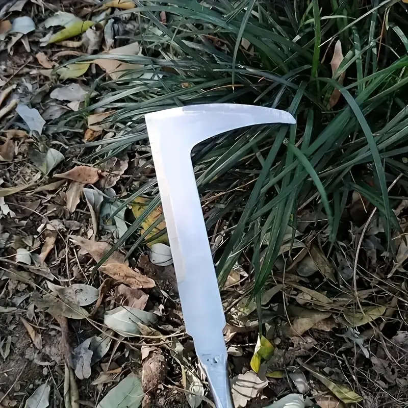 1 Stainless Steel Weeding Tool