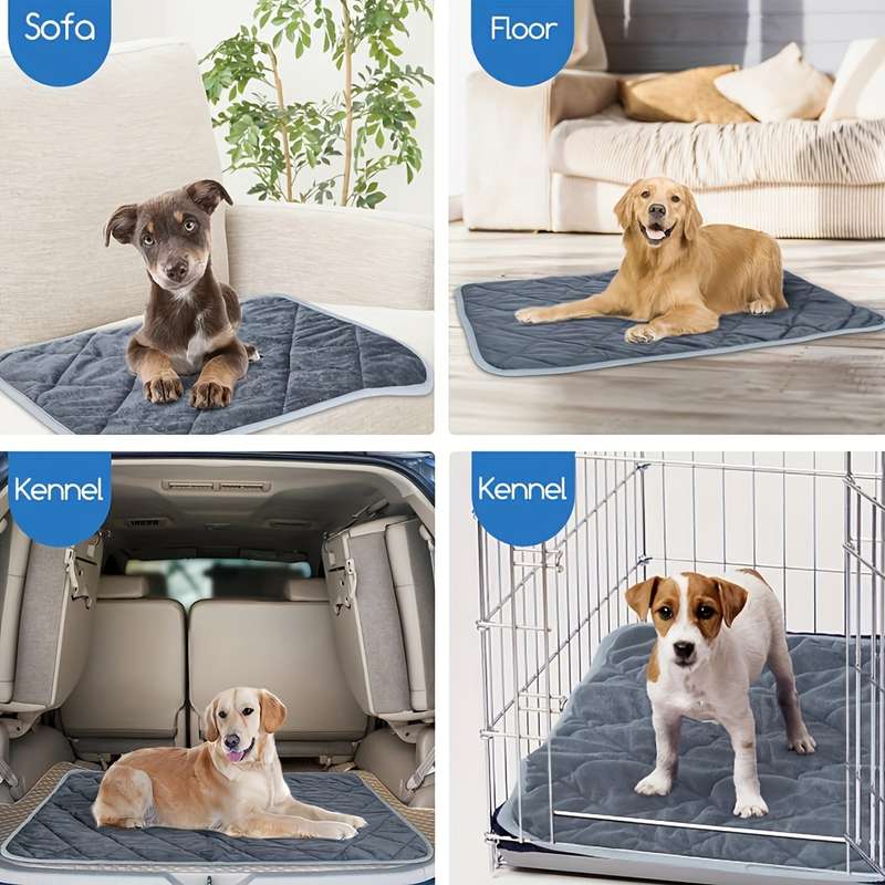 1PC Pet Mat Grey Size XL  114.3x71.12cm