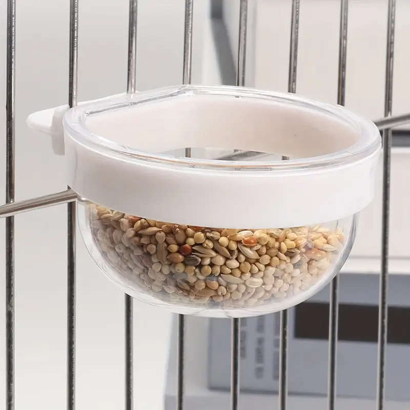 Bird Feeder