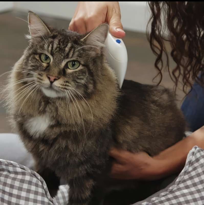 1pc Flea Doctor Pet Comb