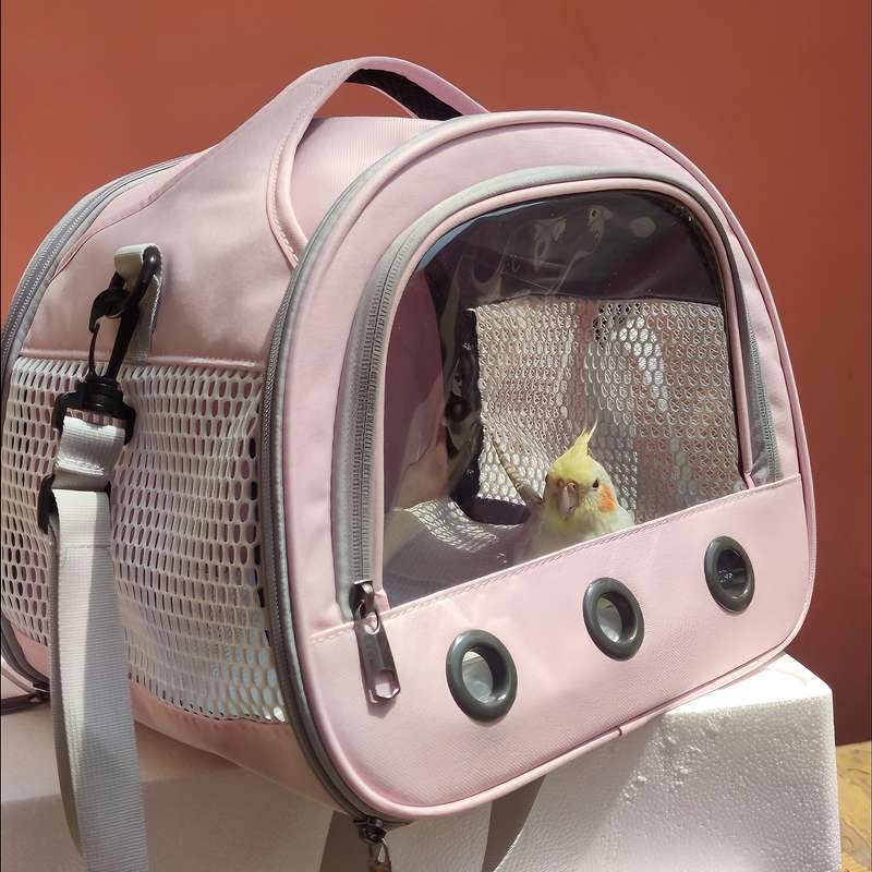 1pc PinkModel Large Size Pet Bag