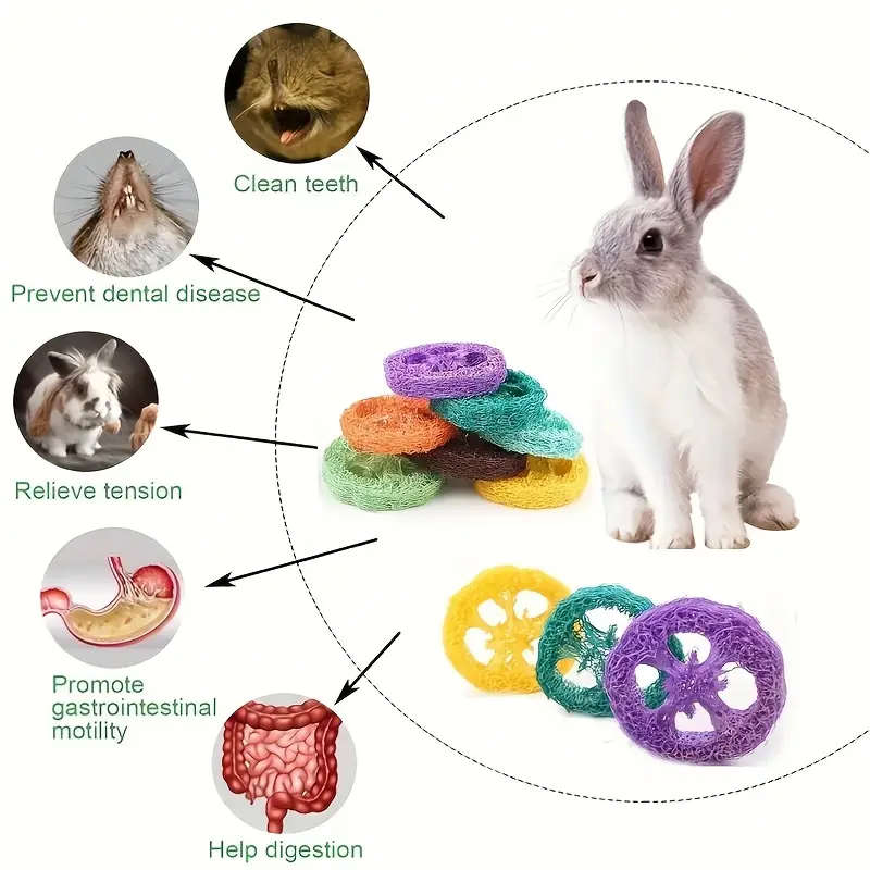 Dog Chew Toys