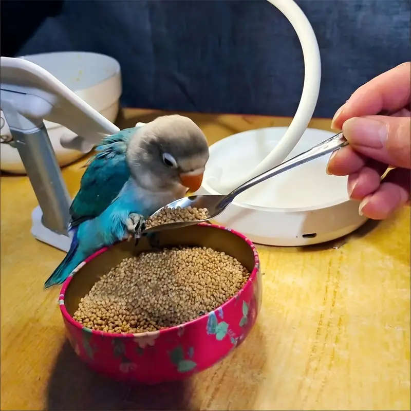 Small Bird Feeder