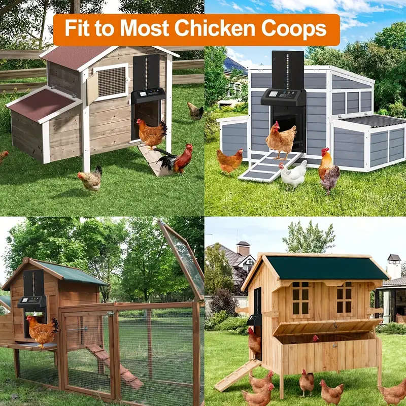 Automatic Chicken House Door With Timer